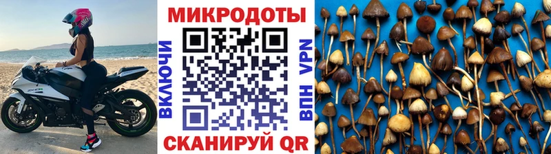 Псилоцибиновые грибы MAGIC MUSHROOMS  Купить закладки  Учалы 